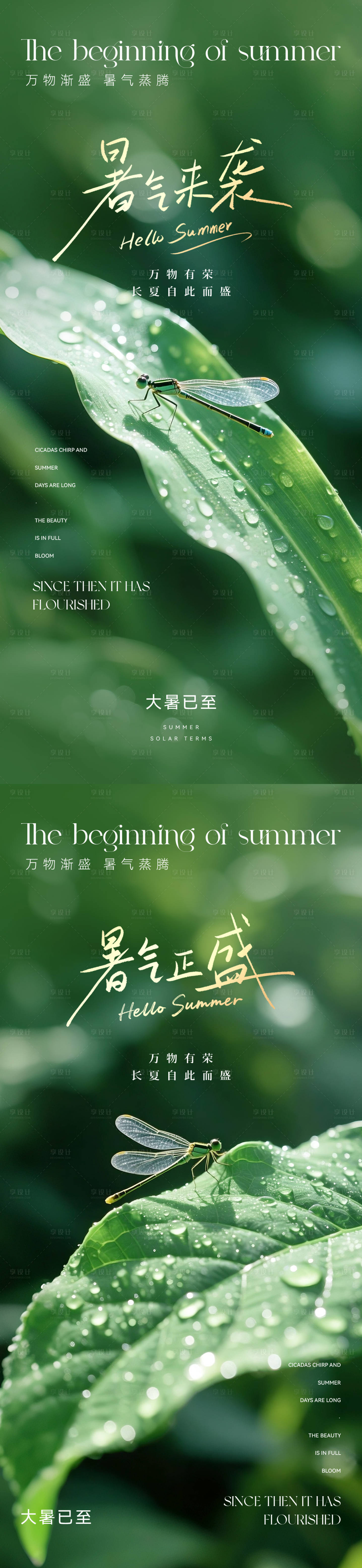 源文件下載【享設(shè)計】搜索編號：54250031619026661【大暑節(jié)氣攝影海報】