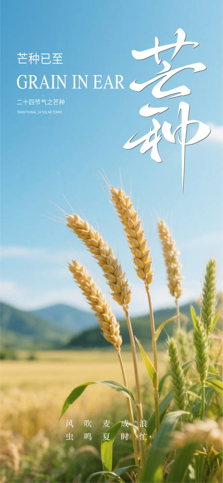 源文件下載【地產(chǎn)芒種節(jié)氣海報(bào)】編號(hào)：55640031125829113