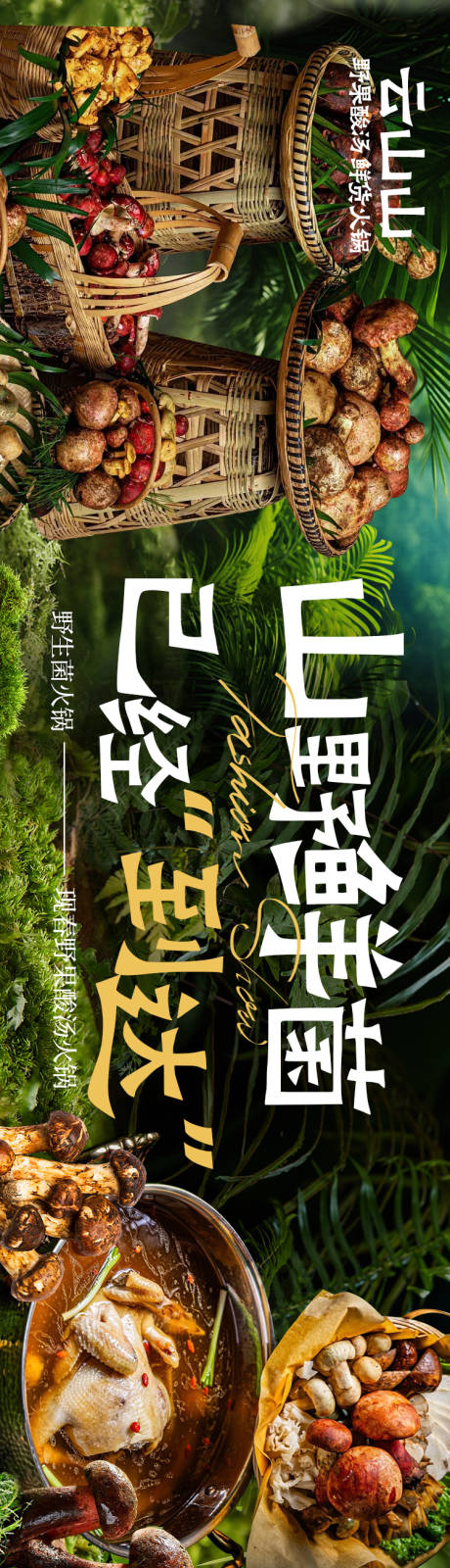 山野菜野生菌五连图