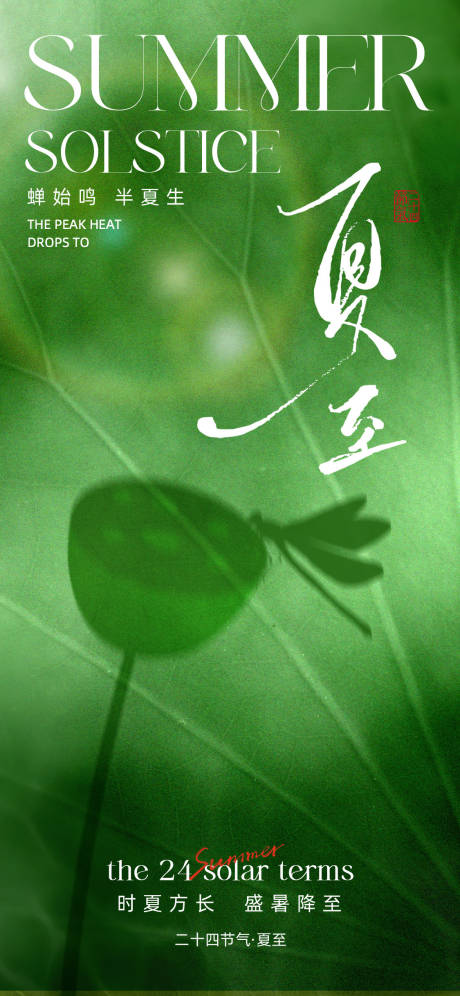 源文件下载【夏至荷叶海报】编号：64990031293567013