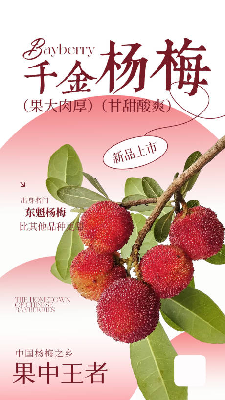 源文件下载【享设计】搜索编号：24180031205057341【水果杨梅海报】