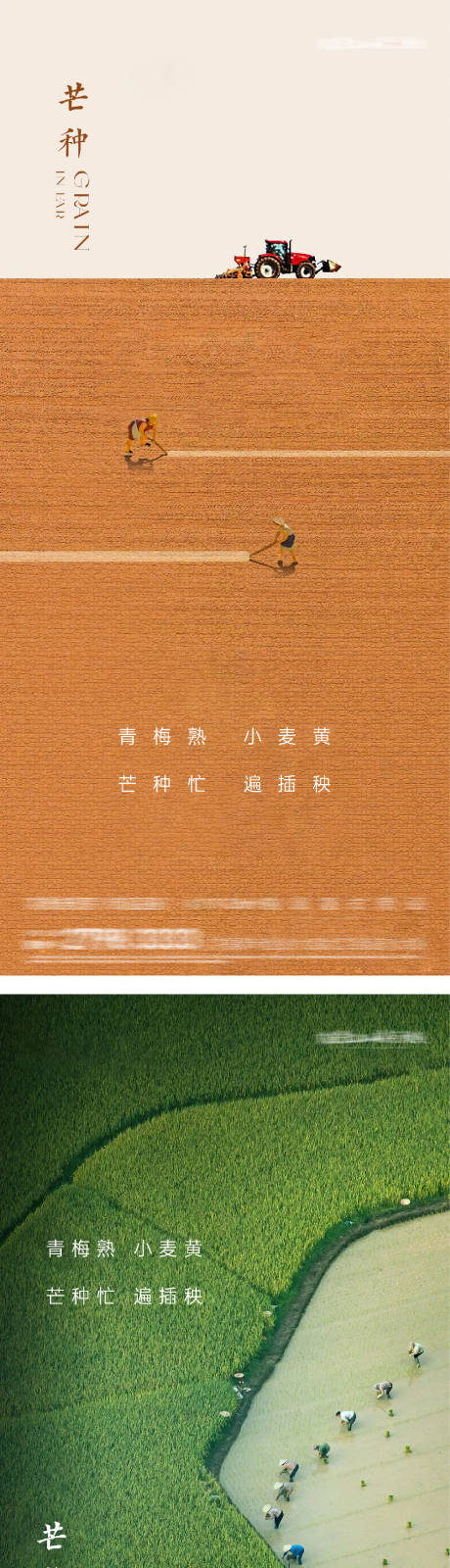 源文件下载【地产芒种海报】编号：72660031126768562