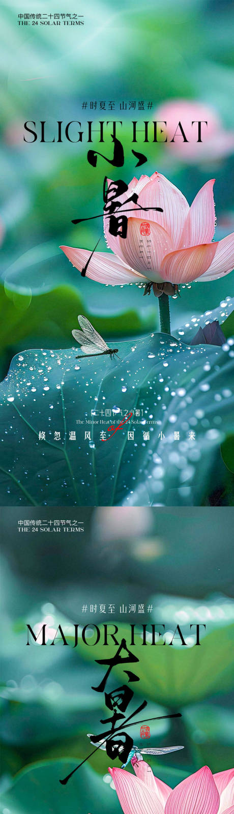 源文件下载【小暑大暑荷花荷叶节气海报】编号：25200031525544026