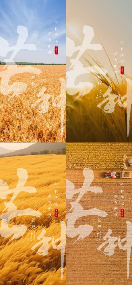 源文件下载【芒种】编号：19740031122423332