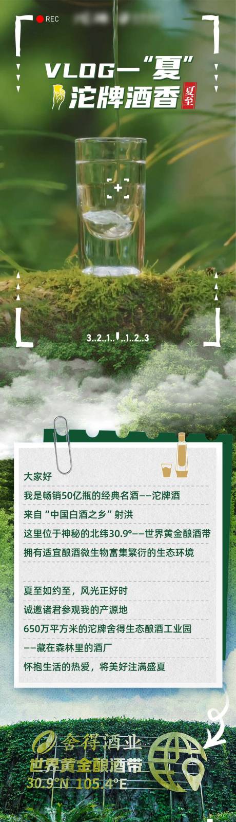 夏至VLOG生态长图专题设计