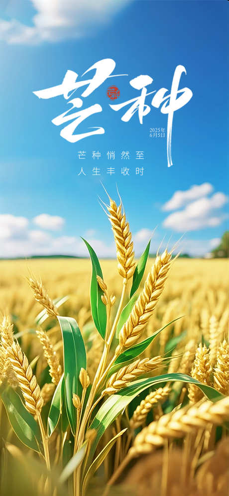 源文件下载【芒种节气海报】编号：70170031165029447