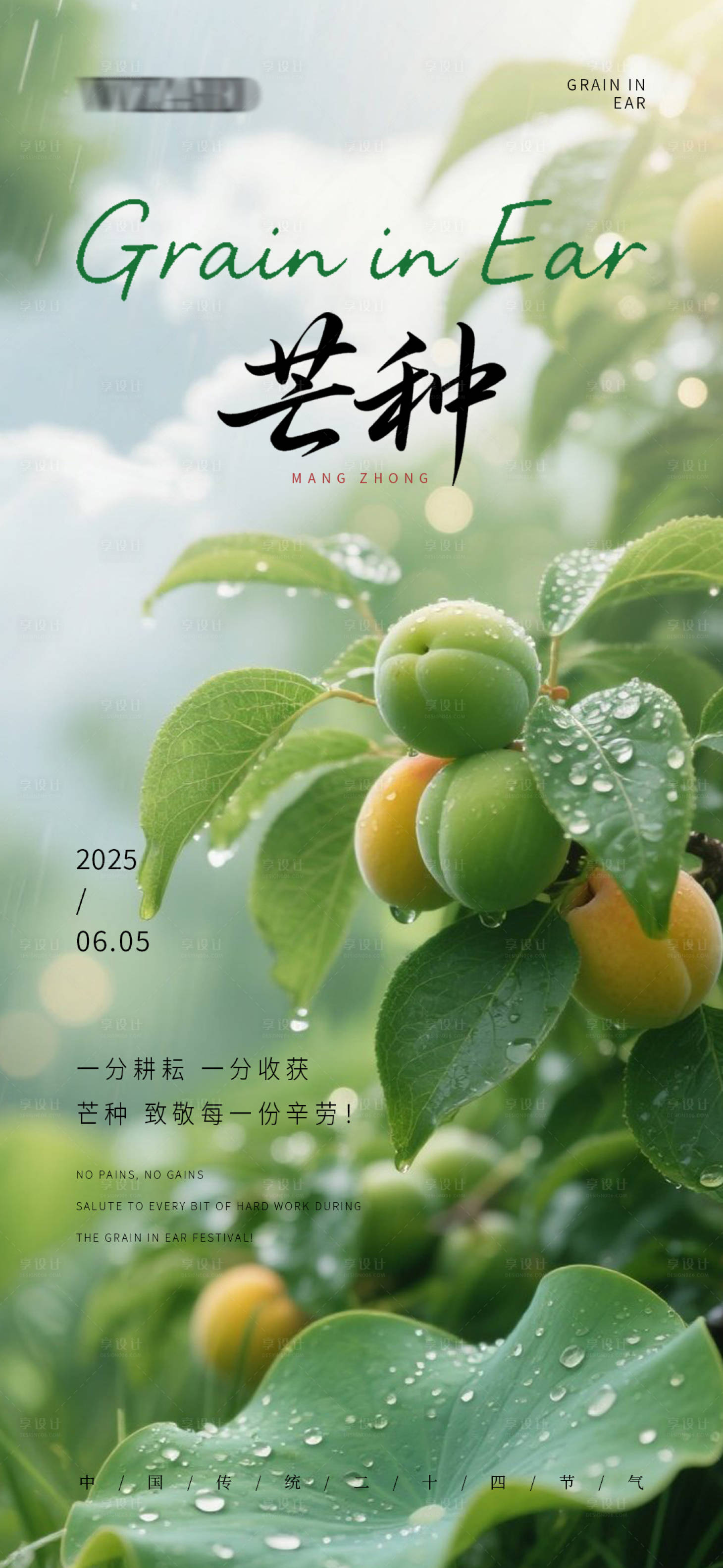 源文件下载【享设计】搜索编号：75550031136825493【自然景致芒种主题海报】