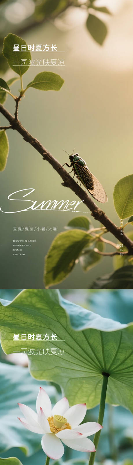 源文件下载【小暑大暑处暑夏至节气海报】编号：50310031523167198