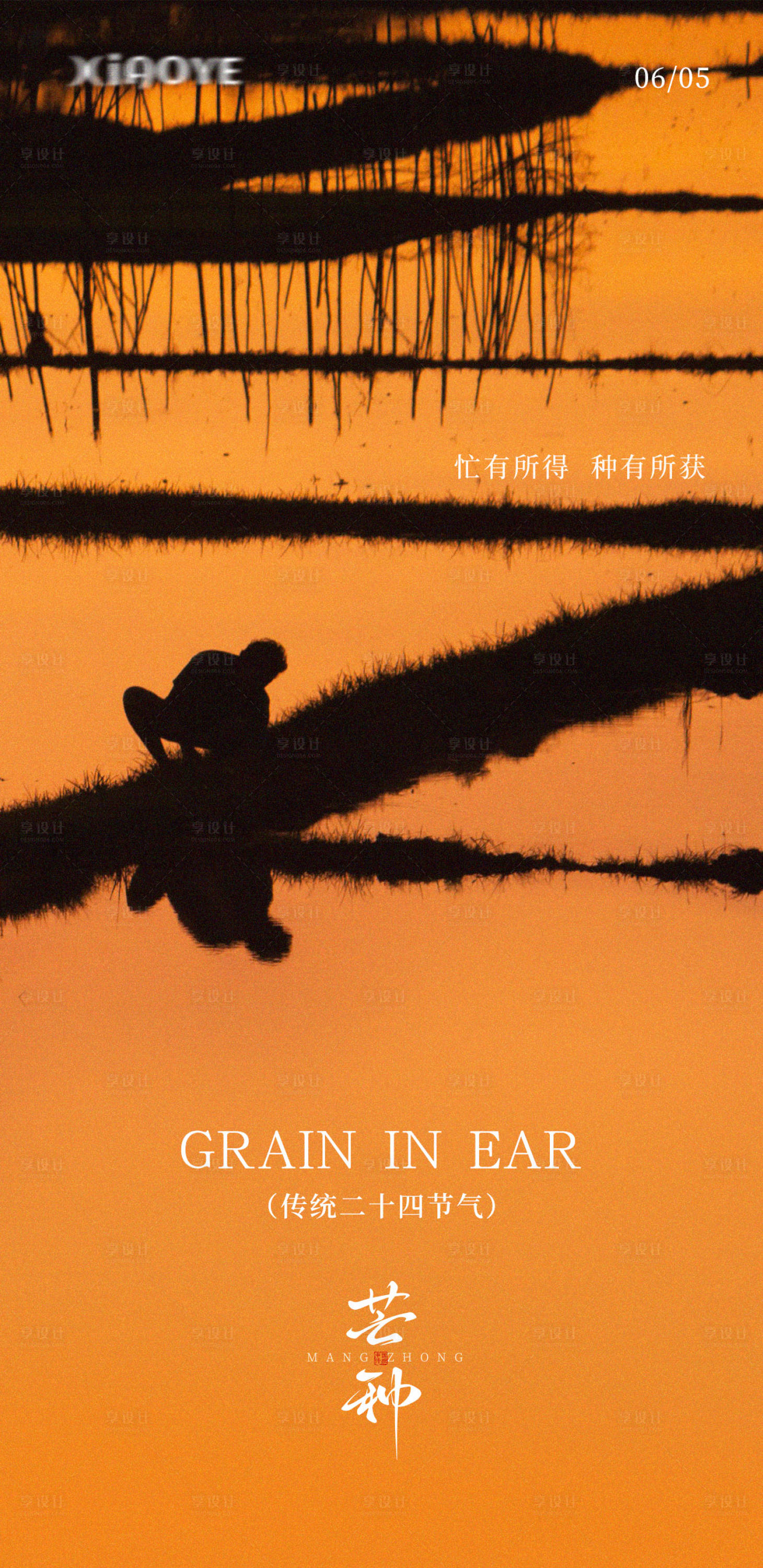 源文件下载【享设计】搜索编号：32670031152021233【芒种橙色海报】