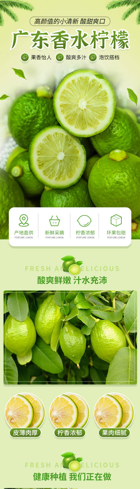 新鲜香水柠檬详情页