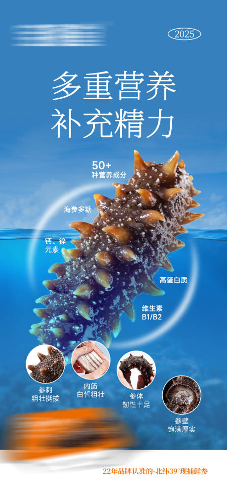 源文件下载【享设计】搜索编号：74140032171017607【海参】