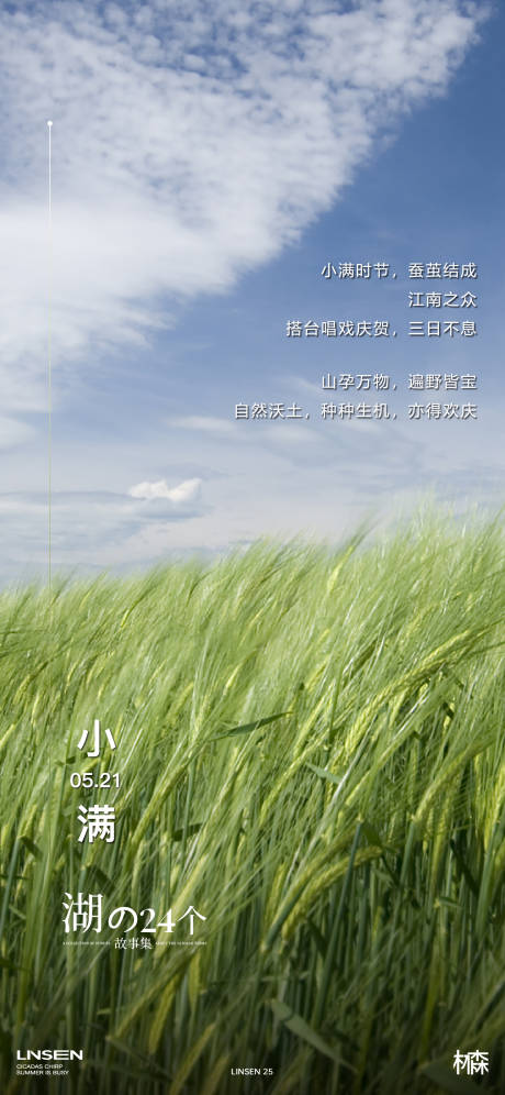 源文件下載【小滿節氣海報】編號：11170032248486010