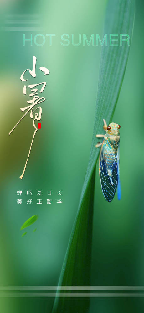 源文件下載【小暑】編號：23270031756368831