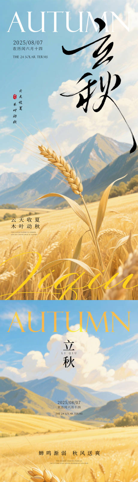 立秋海报