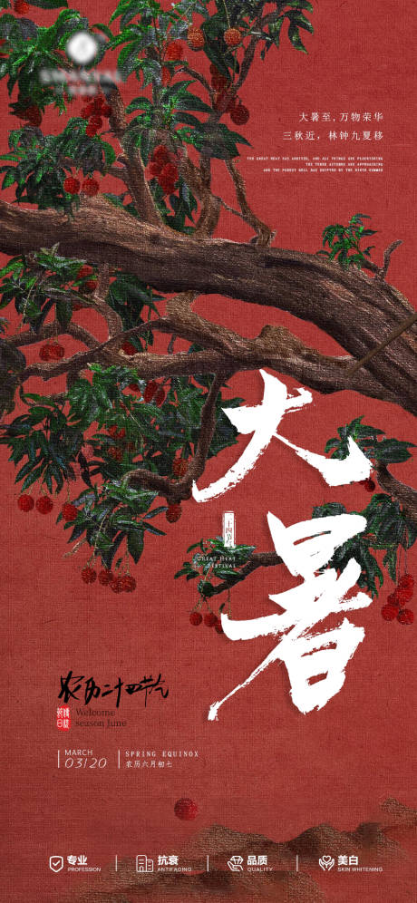 源文件下载【医美大暑荔枝海报】编号：42120031808801270