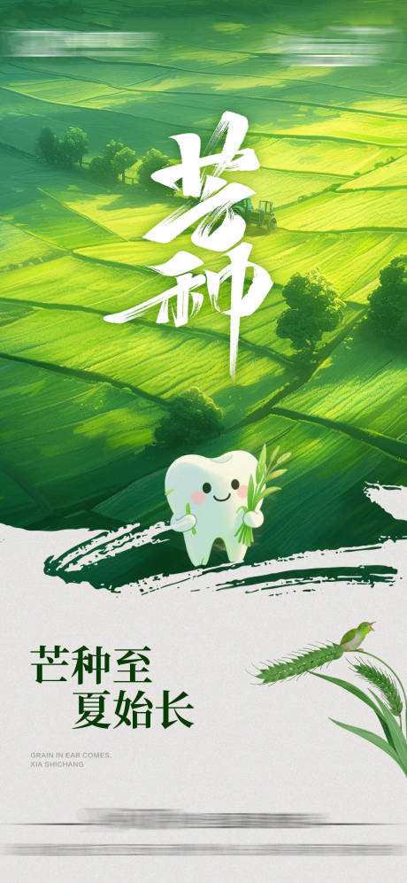 源文件下载【芒种海报】编号：10640031829808685