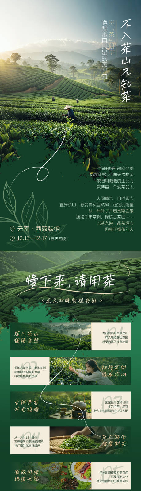 源文件下载【茶旅长图】编号：99480032095996902