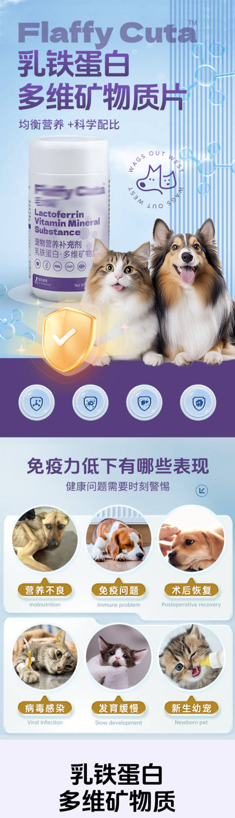 宠物乳铁蛋白多维矿物质片详情页