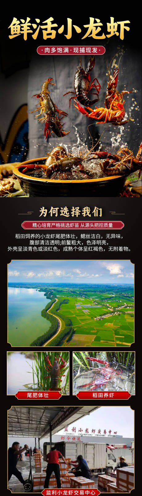 源文件下载【鲜活小龙虾详情页】编号：78530032018409507