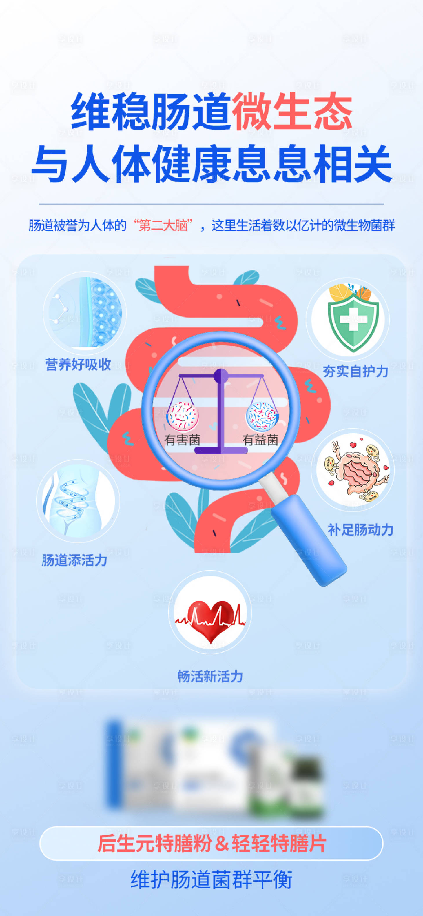 源文件下載【享設(shè)計】搜索編號：76220032139077778【腸道產(chǎn)品海報】