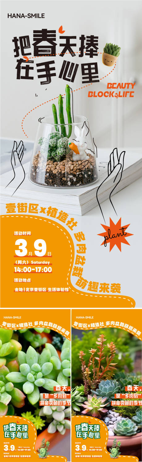 源文件下载【享设计】搜索编号：44780031797802656【橙色多肉活动视频动态海报 】