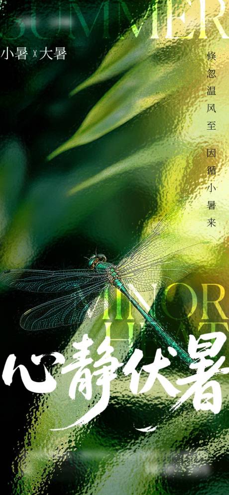 源文件下载【小暑大暑海报】编号：76150031682315269