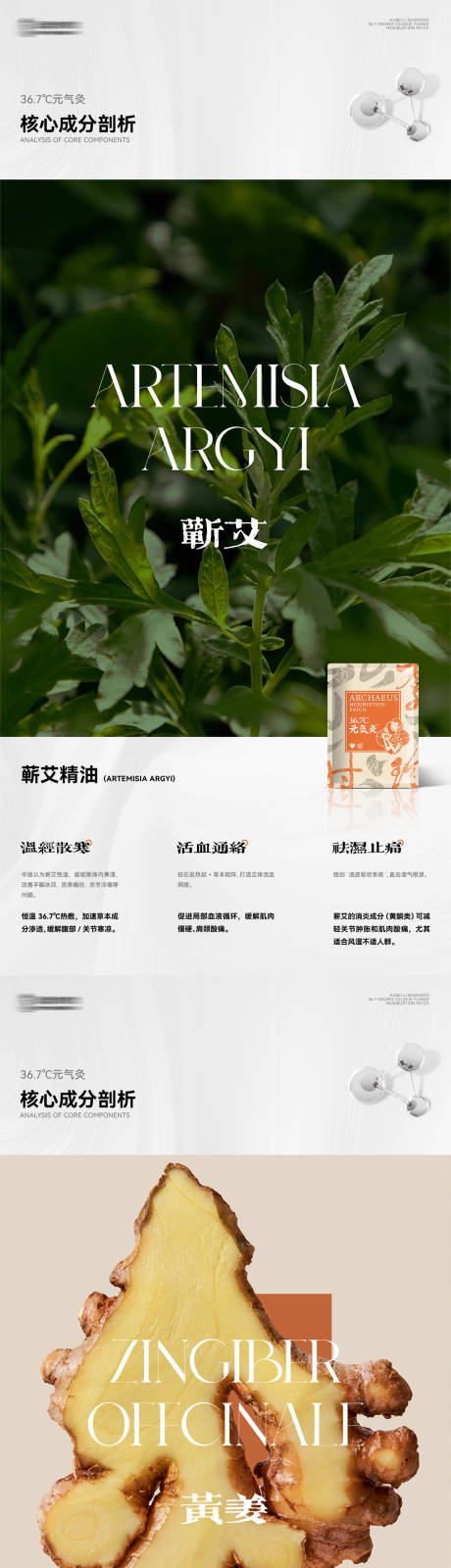 源文件下载【产品成分解析海报】编号：76870031860156014