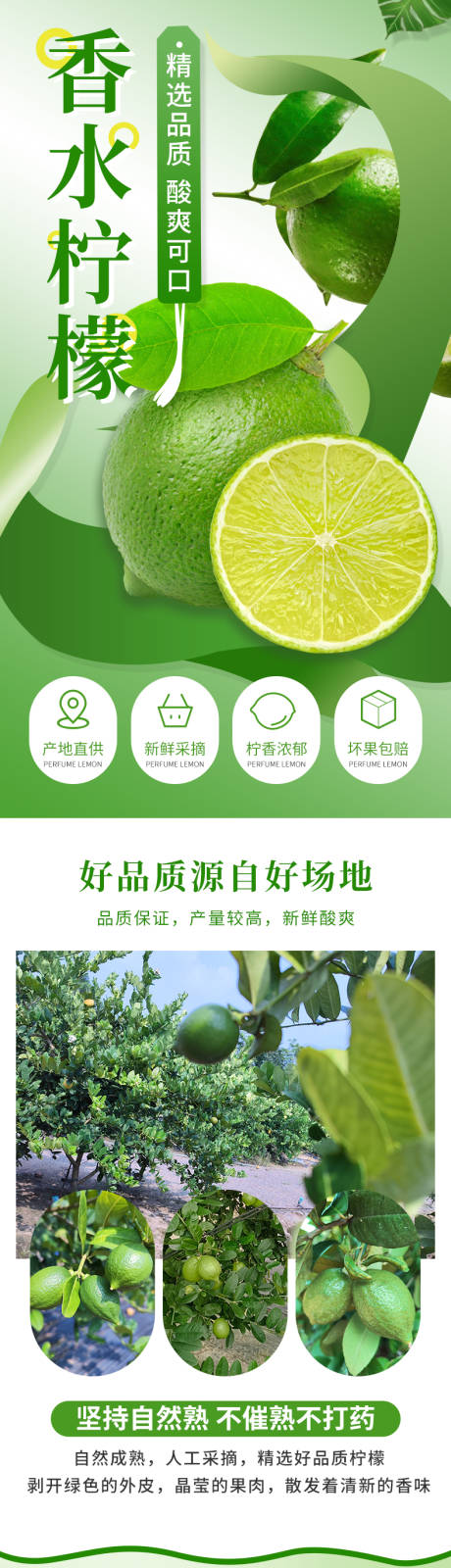 新鲜香水柠檬详情页