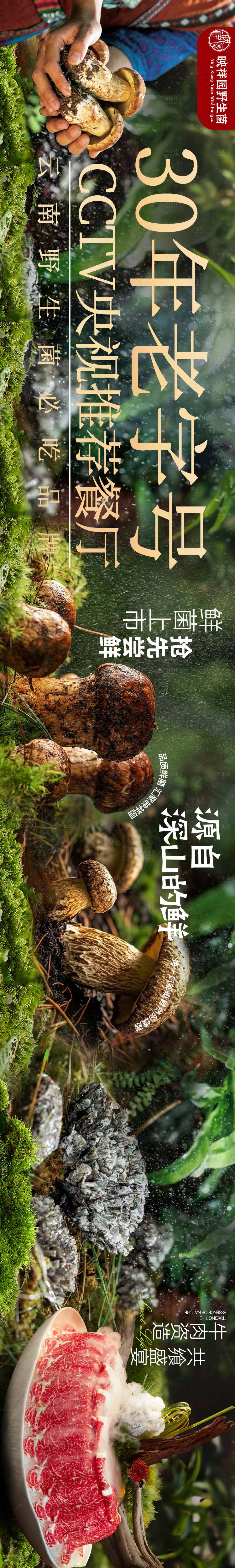 源文件下載【享設計】搜索編號：35970031958611826【大眾點評野生菌五連圖設計】