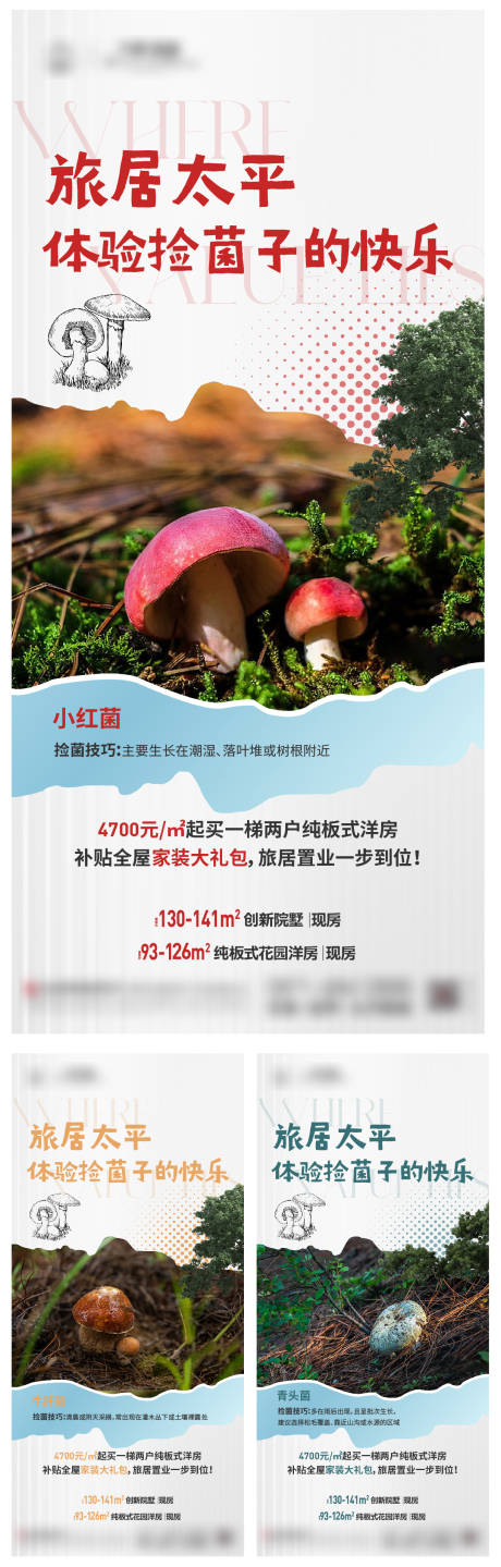 源文件下載【享設(shè)計】搜索編號：10850032156603044【野生菌撿菌價值點單圖】