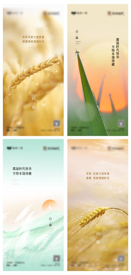 源文件下載【享設計】搜索編號：54740032236213212【節氣微單白露】