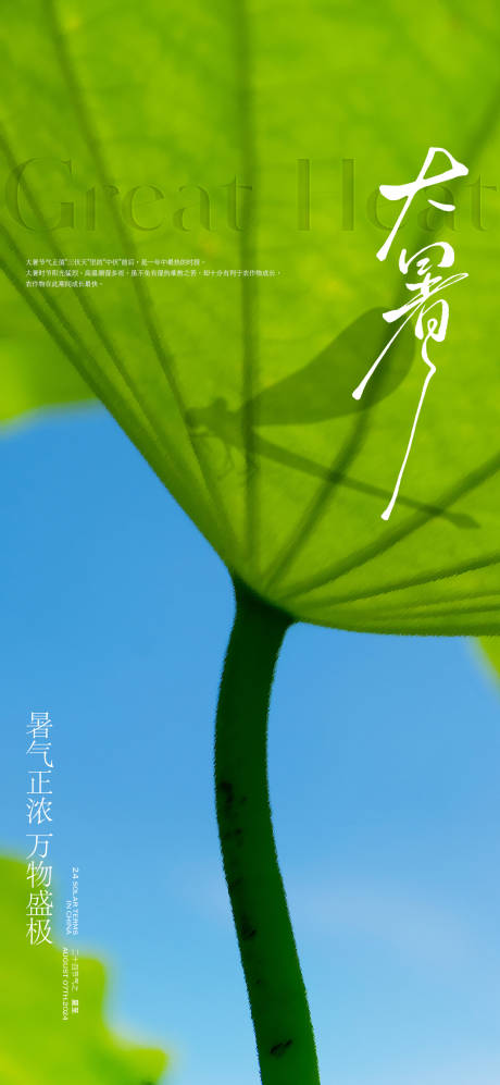 源文件下載【享設計】搜索編號：52820031934495596【質感大暑節氣海報】
