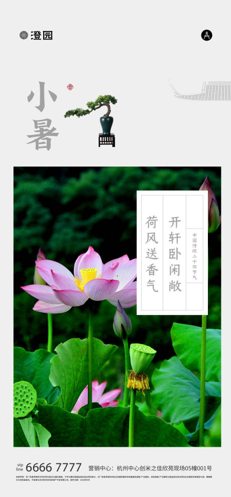 源文件下载【庭院荷花小暑海报】编号：53740031676573370