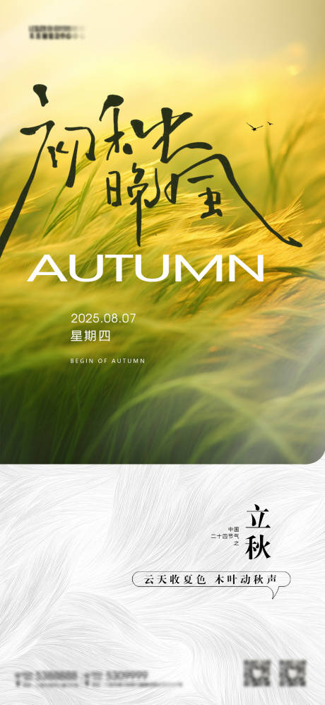 源文件下载【立秋节气海报】编号：68390032103227530
