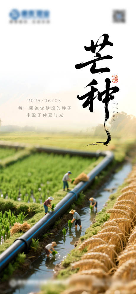 源文件下载【芒种】编号：20750031940164747