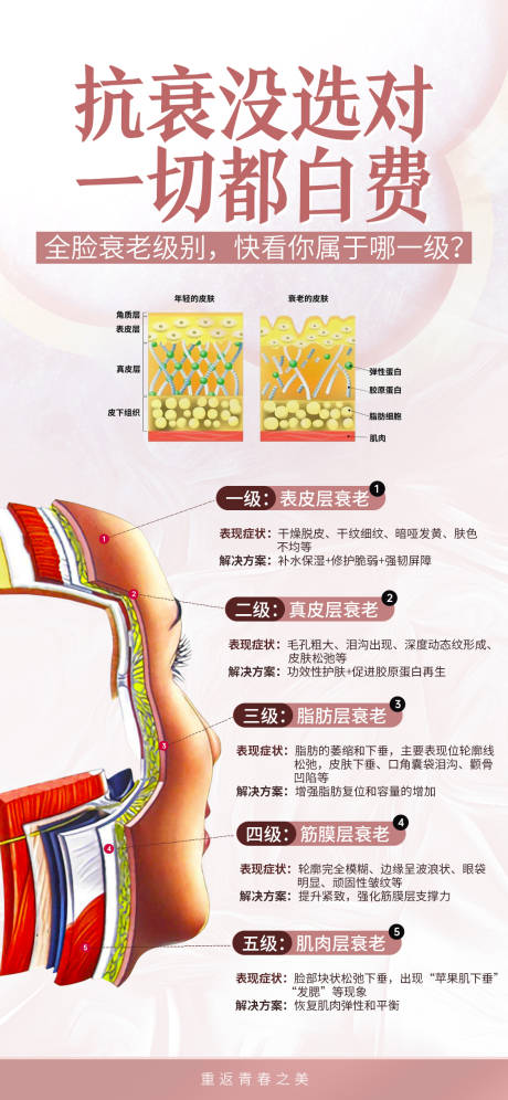 源文件下載【衰老級別海報海報】編號：34320031681977121