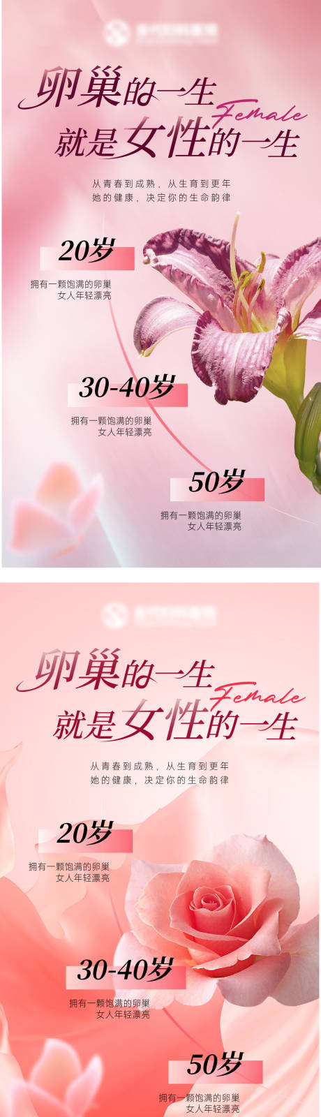 源文件下载【卵巢的一生就是女性的一生】编号：21900031912796648