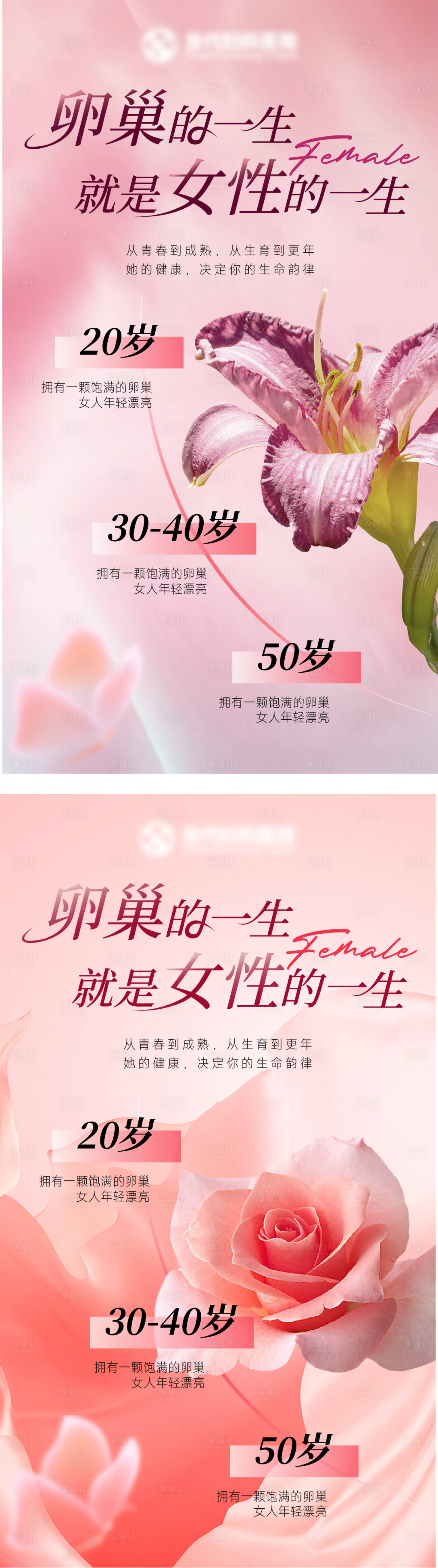 源文件下载【卵巢的一生就是女性的一生】编号：21900031912796648