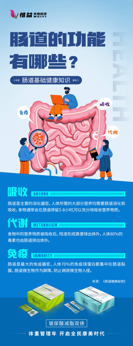 源文件下载【肠道基础知识产品海报】编号：65020031897631295