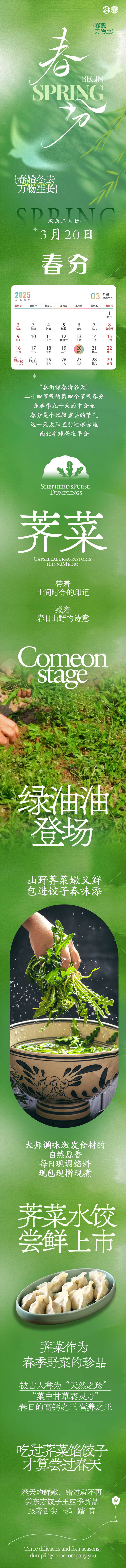 源文件下载【享设计】搜索编号：79340032244172903【二十四节气春分节气推文长图荠菜水饺】