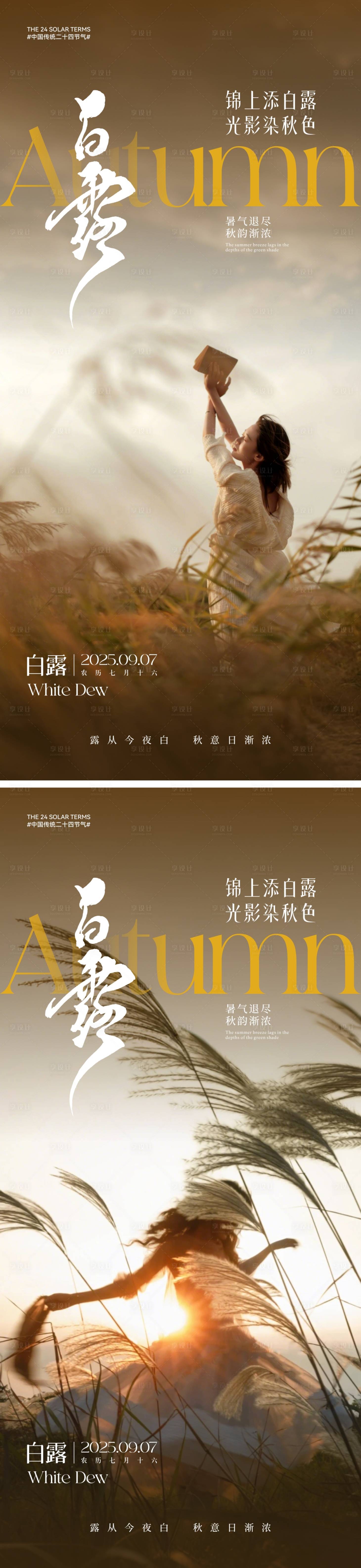 源文件下載【白露節(jié)氣海報(bào)】編號(hào)：63850031956021076