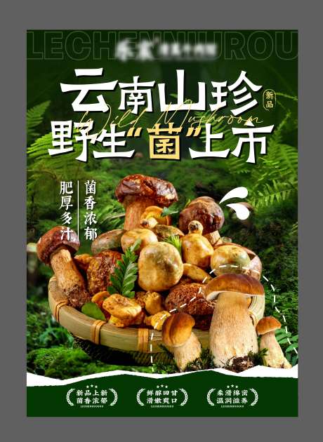 餐饮云南菌子产品海报