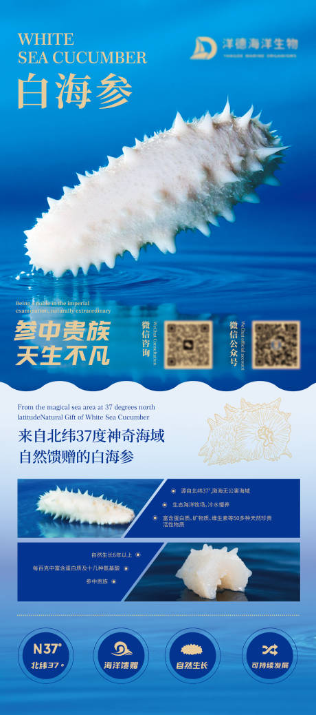 源文件下载【享设计】搜索编号：90170031690245469【海参易拉宝】
