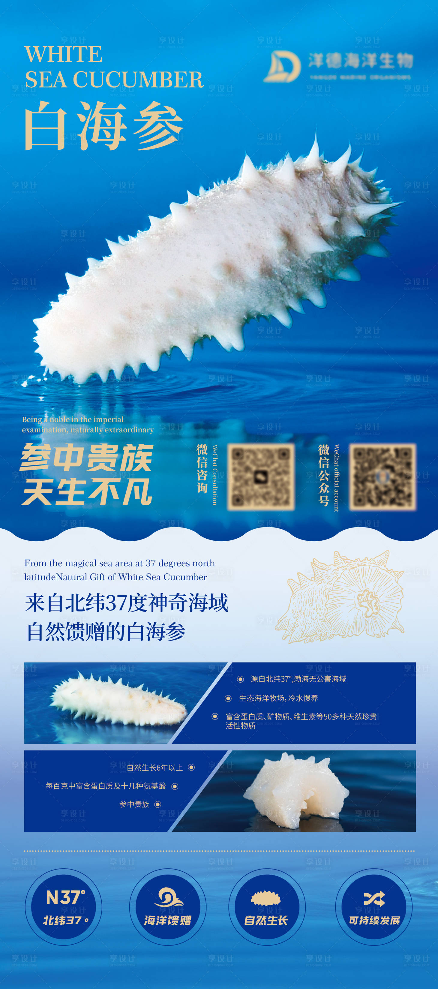 源文件下载【享设计】搜索编号：90170031690245469【海参易拉宝】