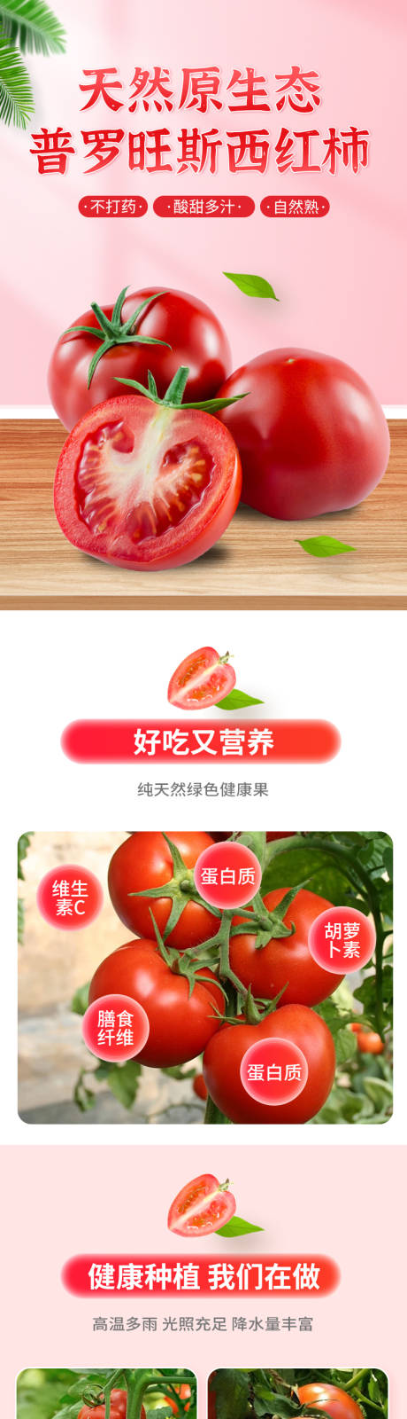 源文件下载【享设计】搜索编号：25320032092503339【普罗旺斯番茄详情页】