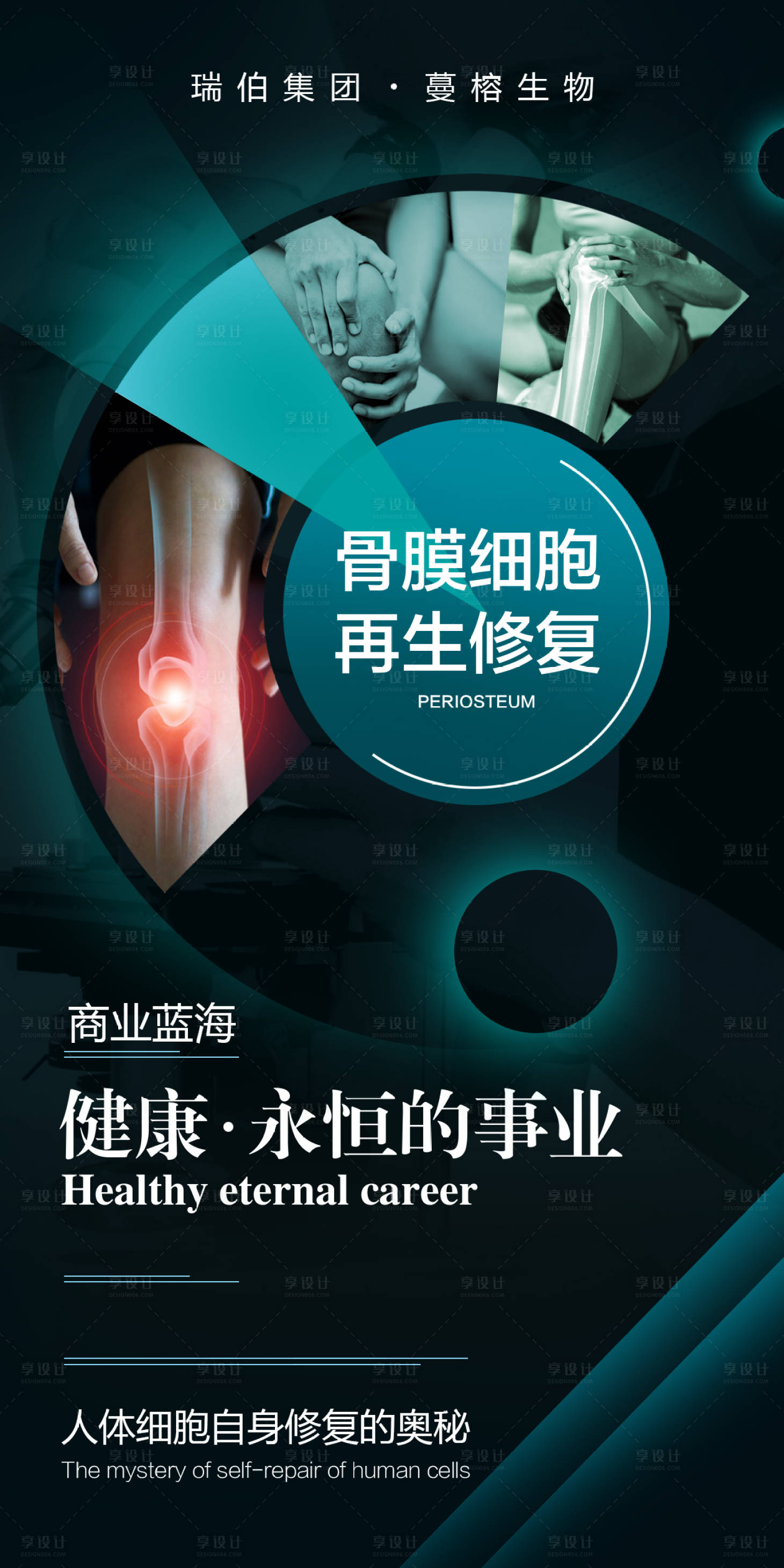 源文件下載【享設計】搜索編號：74830031767429027【骨膜細胞再生修復宣傳海報】