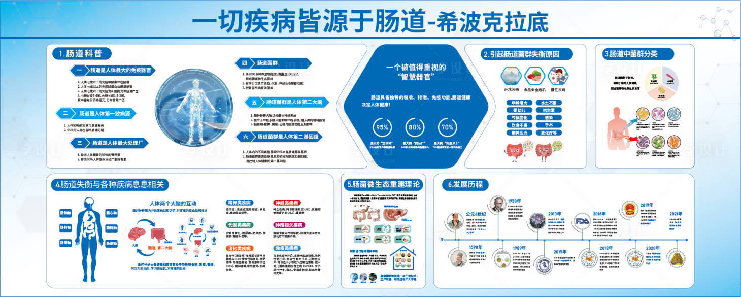 源文件下载【享设计】搜索编号：61880031915146502【肠道菌群健康展板】
