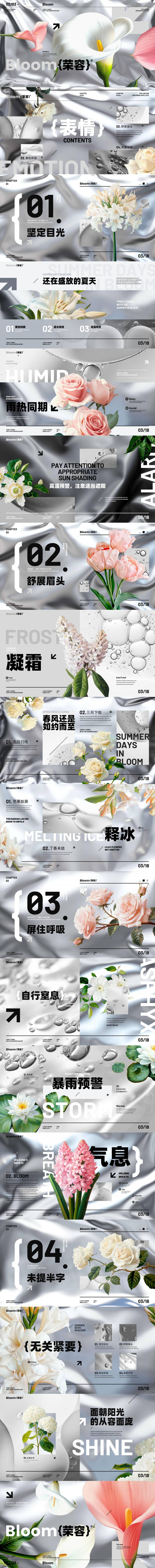源文件下载【享设计】搜索编号：31660031912668311【银色高级质感时尚艺术自然花朵汇报方案】