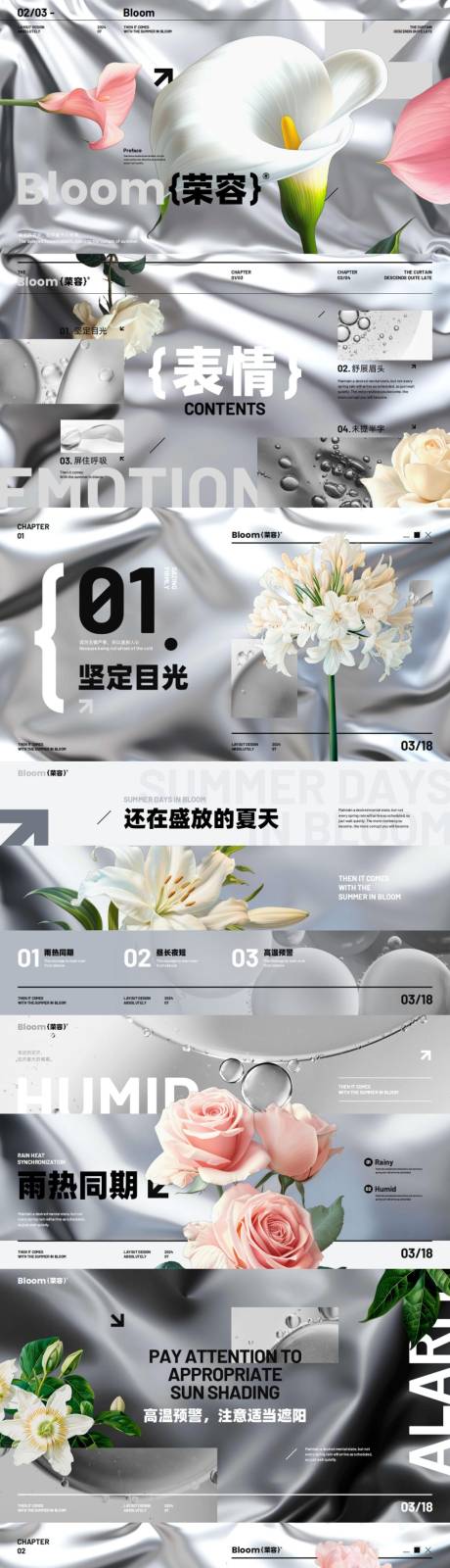 源文件下载【享设计】搜索编号：31660031912668311【银色高级质感时尚艺术自然花朵汇报方案】