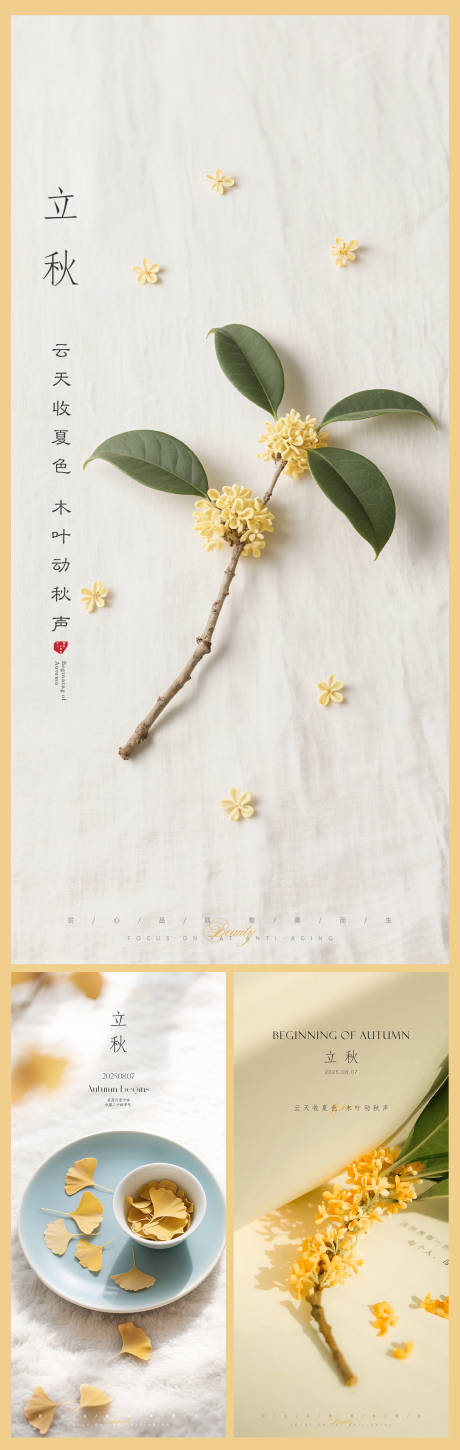 源文件下载【立秋节气移动端海报】编号：46050032225923789
